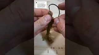 Как оснастить 6-дюймовую приманку Zoom Lizard #ловлябасса #приманка #приманкидлярыбалкисвоимирука...