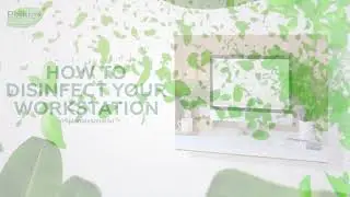 Plantex Solution Tips: How To Disinfect Your Workstation