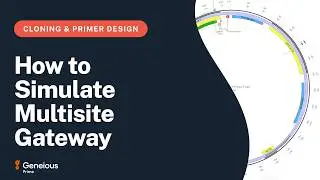Simulate Multisite Gateway Cloning in Geneious Prime: Choose attB Sites and Run BP and LR Reactions