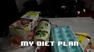My Current Diet Plan