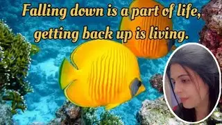 Soothing and Calm relaxing music with quotes#relaxingmusic