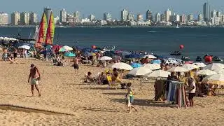 Punta del Este, Playa Mansa, Parada 18, 26.01.2026