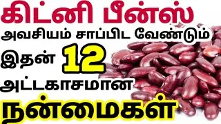 kidney beans benefits in tamil| கிட்னி பீன்ஸ் பயன்கள்| rajma benefits tamil| red beans uses| ராஜ்மா