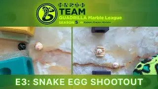 E3: Snake Egg Shootout | Team Quadrilla Marble League S5