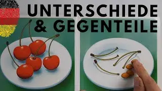 Differences and opposites | comprehensible PreA1/A1 Lesson