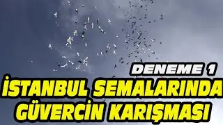 İSTANBUL DA G&Uuml;VERCİN KARIŞMASI DENEDİK. BİZ DE Mİ? FİLOCU OLSAK NE YAPSAK