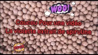 la violette extrait de spiruline