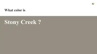 Stony Creek color #948f82 hex color - Brown color - Cool color 948f82