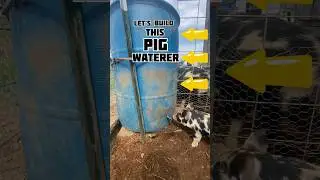 Let&rsquo;s Build A Pig Waterer