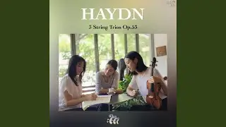 String Trio Op.53 in G Major, No.1, Hob. XVI:40: I. Allegretto ed innocente