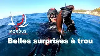 2 grosses mostelle capturées à trou en chasse sous-marine #Mostelles,#Chapon,#Congre et autres.