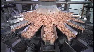 Fishing Industry in Pakistan | Subsistence and commercial fishing | 2059 O-Levels | Geography of Pak