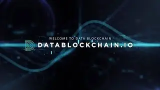 Datablockchain - обзор команды проекта