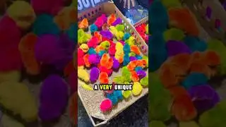 Why These Chickens Are Painted Like Rainbows but It's Not What You Think