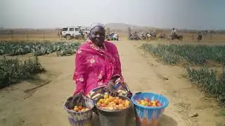 Managing crises - Strengthening Resilience in the Sahel