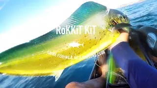 Noosa Offshore kayak fishing tournament 2017