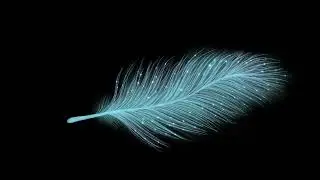 Blue Feather Animated Loop | Creative Flow Music | Background