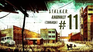 S.T.A.L.K.E.R. Anomaly #11 (Свобода)