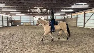 Maggie Schleppi & LL Frenchman’s Dakota - WDAA Intro Test 1 (NODA)