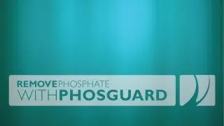 Remove Phosphate with PhosGuard (without media reactor)