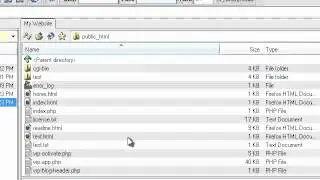 How to transfer files using LeapFTP