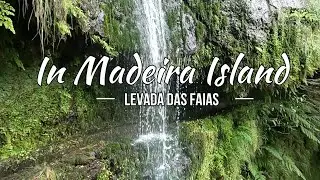Levada das Faias (08/04/2023) IN MADEIRA ISLAND