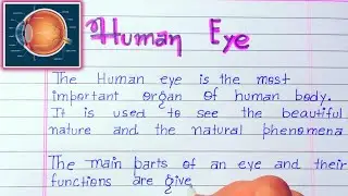 Human Eye|Parts of Human Eye|Definition|Human Eye Parts Function|Function of Human|Eye Parts