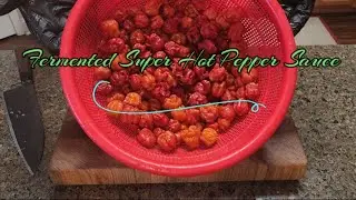 Fermented Super Hot Pepper Sauce