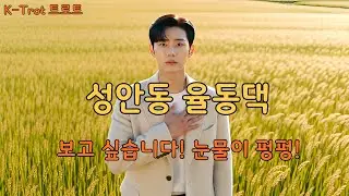 성안동 율동댁 🎵K-Trot 트로트 🎧눈물이 펑펑! 🎈당신이 계신 곳까지 이 목소리가 닿을까요 🎬 뮤직비디오 AI 영상제작
