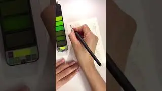 Bringing a Toco Toucan to Life | Watercolour Illustration with #brustro #art #painting #viralvideo