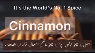 Health Benefits of Cinnamon | Side effects, Quantity & How to use (Urdu/Hindi)