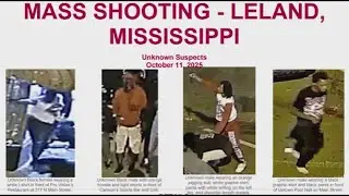 Mississippi school homecoming celebrations turn deadly as 9 people are killed in separate shootings