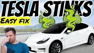 Tesla Model 3 Smelly Funk Fix 🤢