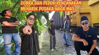 🔴BANG BECK TERBARU||COBRA DAN PEDOK BERENCANA UNTUK MENARIK PUSAKA KRIS NAGA EMAS 