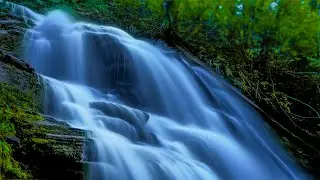 Fall Asleep to Powerful Waterfall Ambience | Water White Noise Sleep Sounds