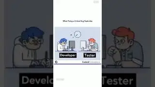 DELOPER VS TESTER