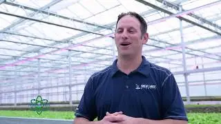 Powerplants Australia Leader in Canabis Growing Systems
