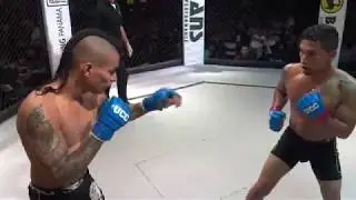 MMA - Championship Fight 