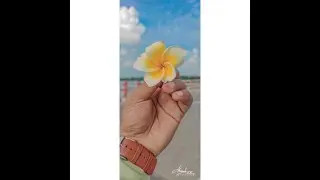 মাঝে মাঝে তব দেখা পাই || Majhe Majhe Tobo || Kath Golap