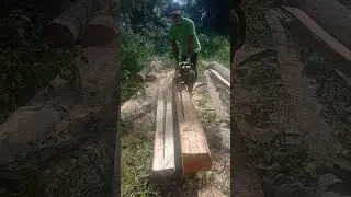 Ang chainsawman 