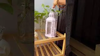 #homedecor#home#vibes#balconygarden#plants#books#therapy#ytshorts#yt