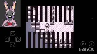 Obtuve la pokeflauta
