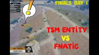 TSM Entity vs FNATIC - Last Circle Insane Fight | Grand Finals Day 1 | PMIS 2020
