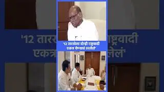 '१२ तारखेला दोन्ही राष्ट्रवादी एकत्र येण्याचं ठरलेलं', Sharad Pawar on NCP Reunion, Ajit Pawar,