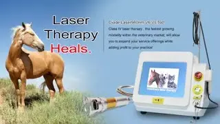 Veterinary laser therapy equipment TRIANGEL V6-VET60