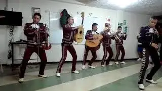 Mariachi Juveniles Show - Show de Zapateo - Mariachis Bogota