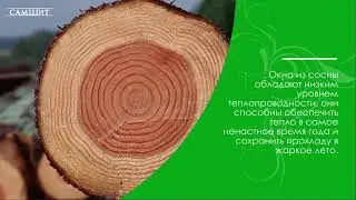 Деревянные окна от фабрики &laquo;Самшит&raquo;. Сосна, лиственница и дуб.