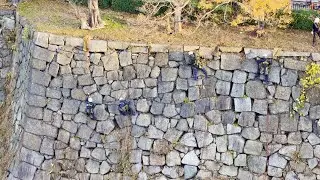 2025/12　大坂城で石垣の草刈りを行う