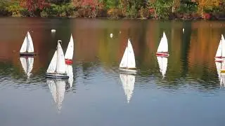 RC Soling Sailing Day 2021-10-12