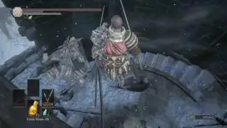 Ashes of Ariandel. Part 2: Soft Landings